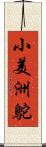 小美洲鴕 Scroll