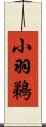 小羽鵜 Scroll