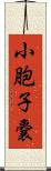 小胞子嚢 Scroll