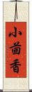 小茴香 Scroll