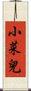 小菜兒 Scroll