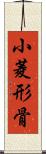 小菱形骨 Scroll