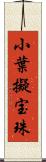 小葉擬宝珠 Scroll