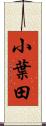 小葉田 Scroll