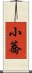小蕎 Scroll