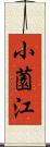 小薗江 Scroll