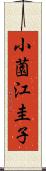 小薗江圭子 Scroll