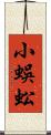 小蜈蚣 Scroll
