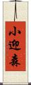 小迎森 Scroll