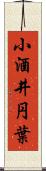 小酒井円葉 Scroll