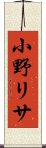 小野リサ Scroll