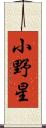 小野星 Scroll