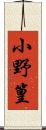 小野篁 Scroll