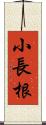 小長根 Scroll