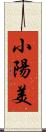 小陽美 Scroll