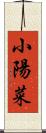 小陽菜 Scroll