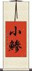 小鯵 Scroll