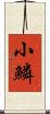 小鱗 Scroll