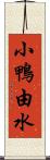 小鴨由水 Scroll