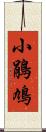 小鵑鳩 Scroll