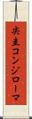 尖圭コンジローマ Scroll