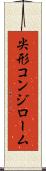 尖形コンジローム Scroll