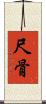 尺骨 Scroll