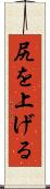 尻を上げる Scroll