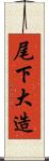 尾下大造 Scroll
