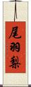 尾羽梨 Scroll