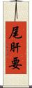 尾肝要 Scroll