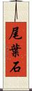 尾葉石 Scroll