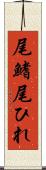 尾鰭 Scroll