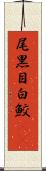 尾黒目白鮫(rK) Scroll