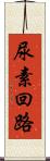 尿素回路 Scroll