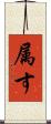 属す Scroll