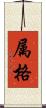 属格 Scroll