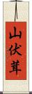 山伏茸 Scroll
