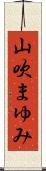 山吹まゆみ Scroll