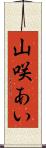 山咲あい Scroll