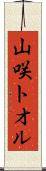 山咲トオル Scroll