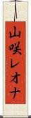 山咲レオナ Scroll