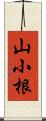 山小根 Scroll