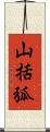 山括弧 Scroll