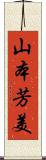 山本芳美 Scroll