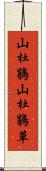 山杜鵑 Scroll