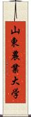 山東農業大学 Scroll