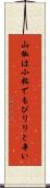 山椒は小粒でもぴりりと辛い Scroll