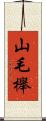 山毛櫸 Scroll