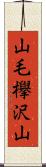 山毛欅沢山 Scroll